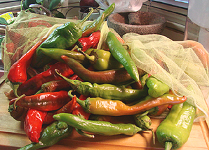 Authentic Southwest chiles, chile sauces and salsas